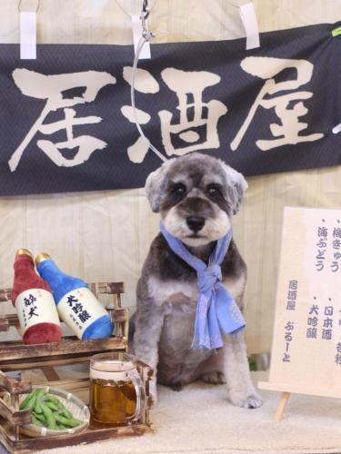 20240627ディアくん